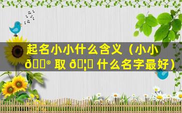 起名小小什么含义（小小 💮 取 🦋 什么名字最好）